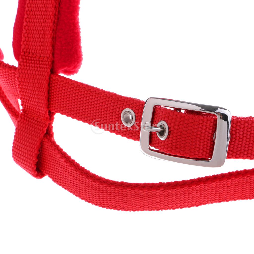 Equestrian Sports Horse Riding Bridle + Reins & Set Fits 1.4m and more than 1.4m Height Horse