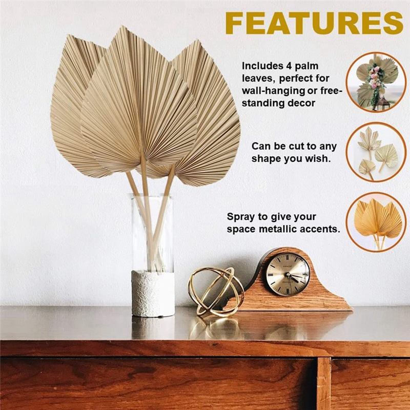 4 Stück natürliche getrocknete Palmblätter sind perfekt für Palme blatt Dekor, Boho Dekor, Wohnkultur, Hochzeit