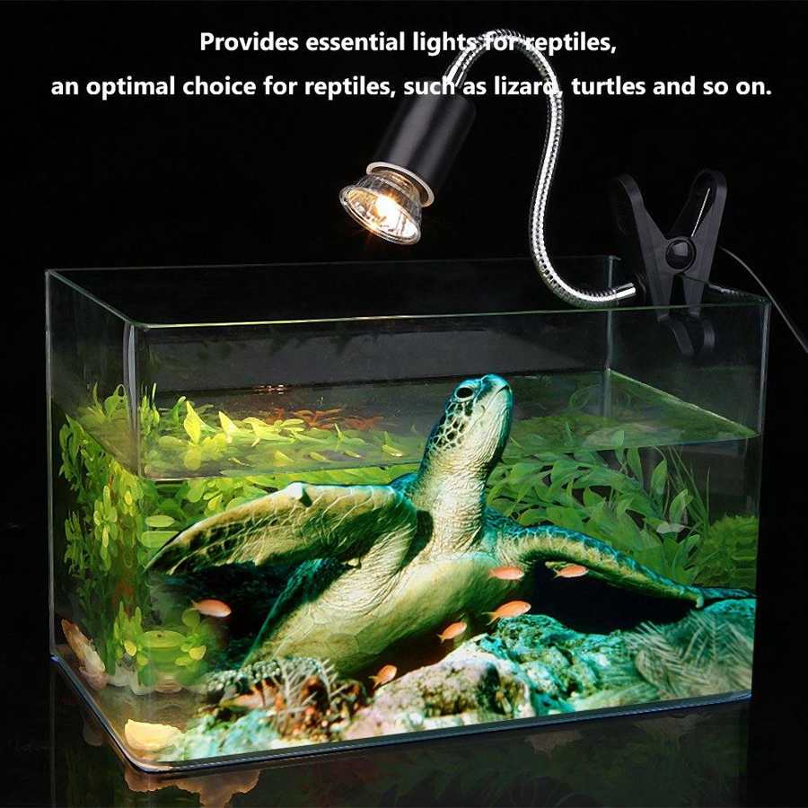 Skildpadde varme lys 75w krybdyr varme lys lampe varme pære akvarie lampe til kæledyr krybdyr skildpadder kæledyr forsyninger