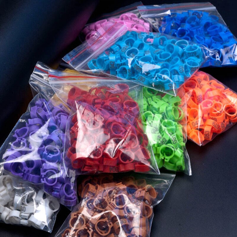 Inner Diameter 8mm Pigeon Leg Bands Poultry Dove Bird Parrot Clip Rings Band Foot Ring Pigeon Supplies Bird Appliances 100 Pcs