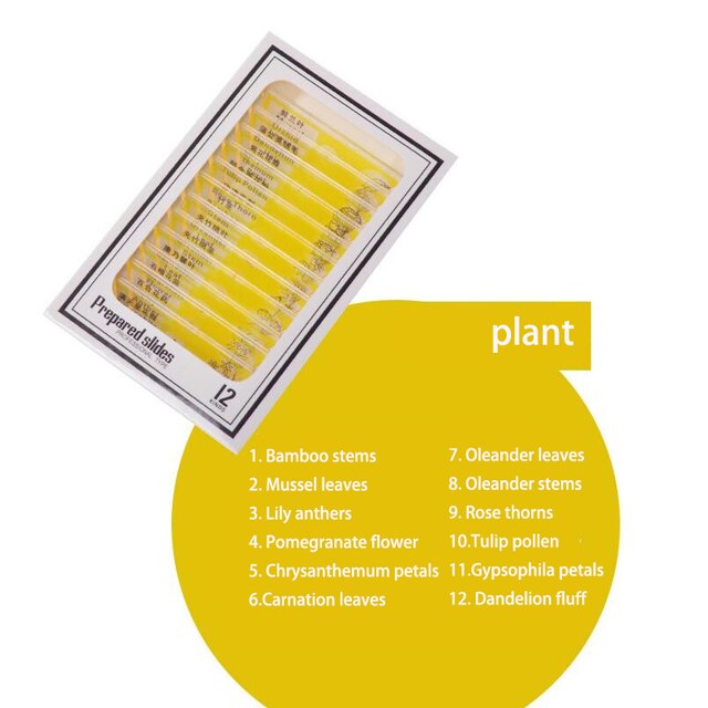 12 Pcs Microscope Slides Specimen Lens Biology Animals Insects Plants Flower Sample for Children Home School Science Educational: 12pcs plant