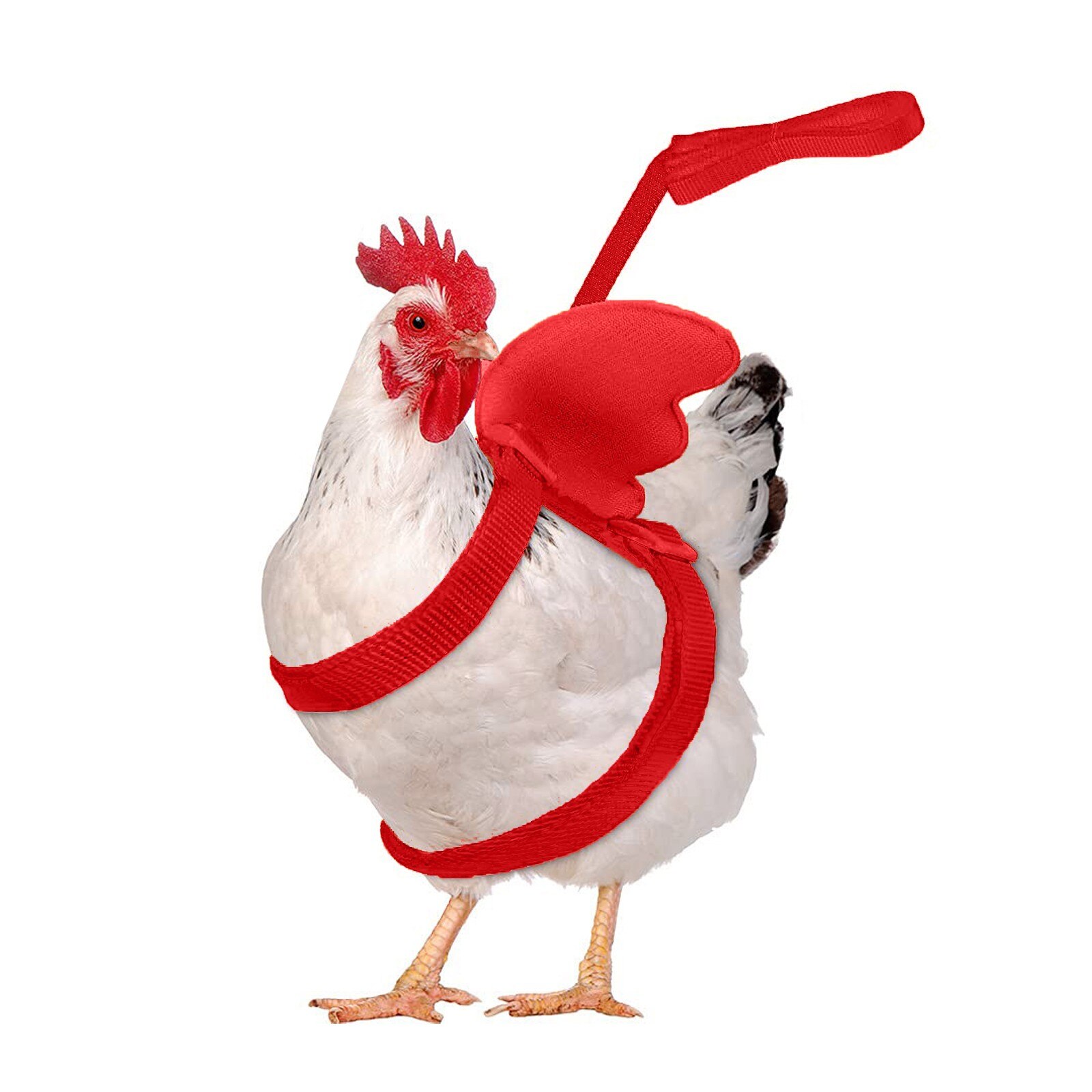 Verstelbare Eend Katten Konijn Harnas Met Leiband Voor Katten Eend Gans-Kip Training Wandelen Outdoor Trein Trekkabel