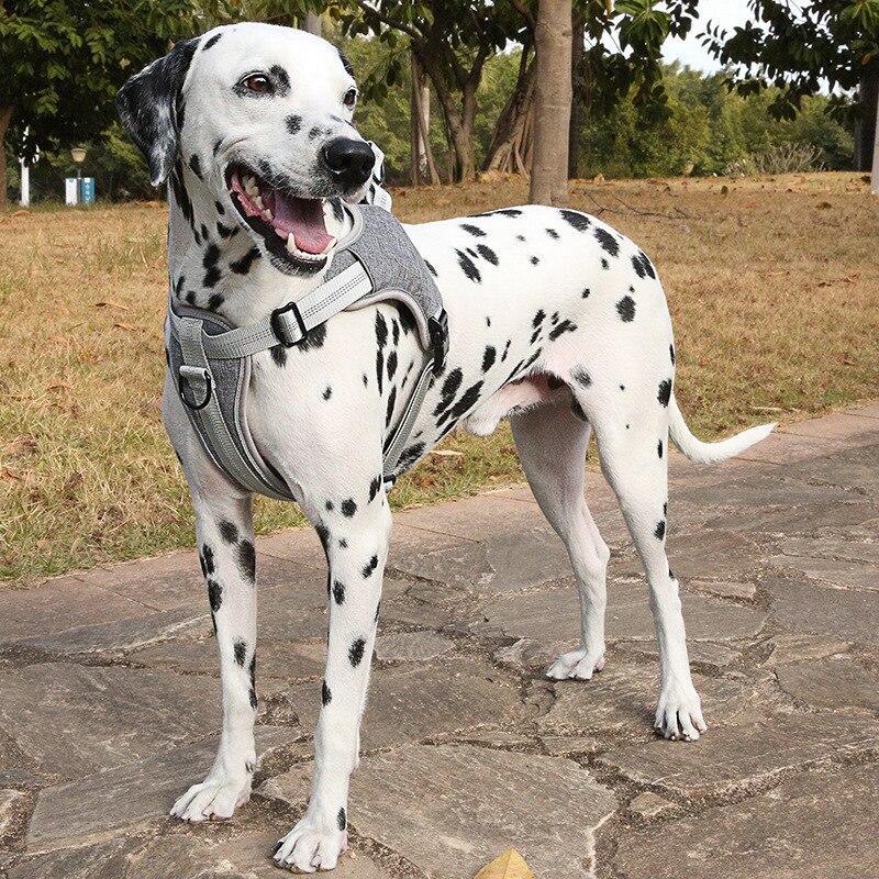 Reflective Nylon Dog Harness Vest Adjustable Outdoor Breathable Protective Pet Harness All Weather Service Puppy Dog Vest S-2XL