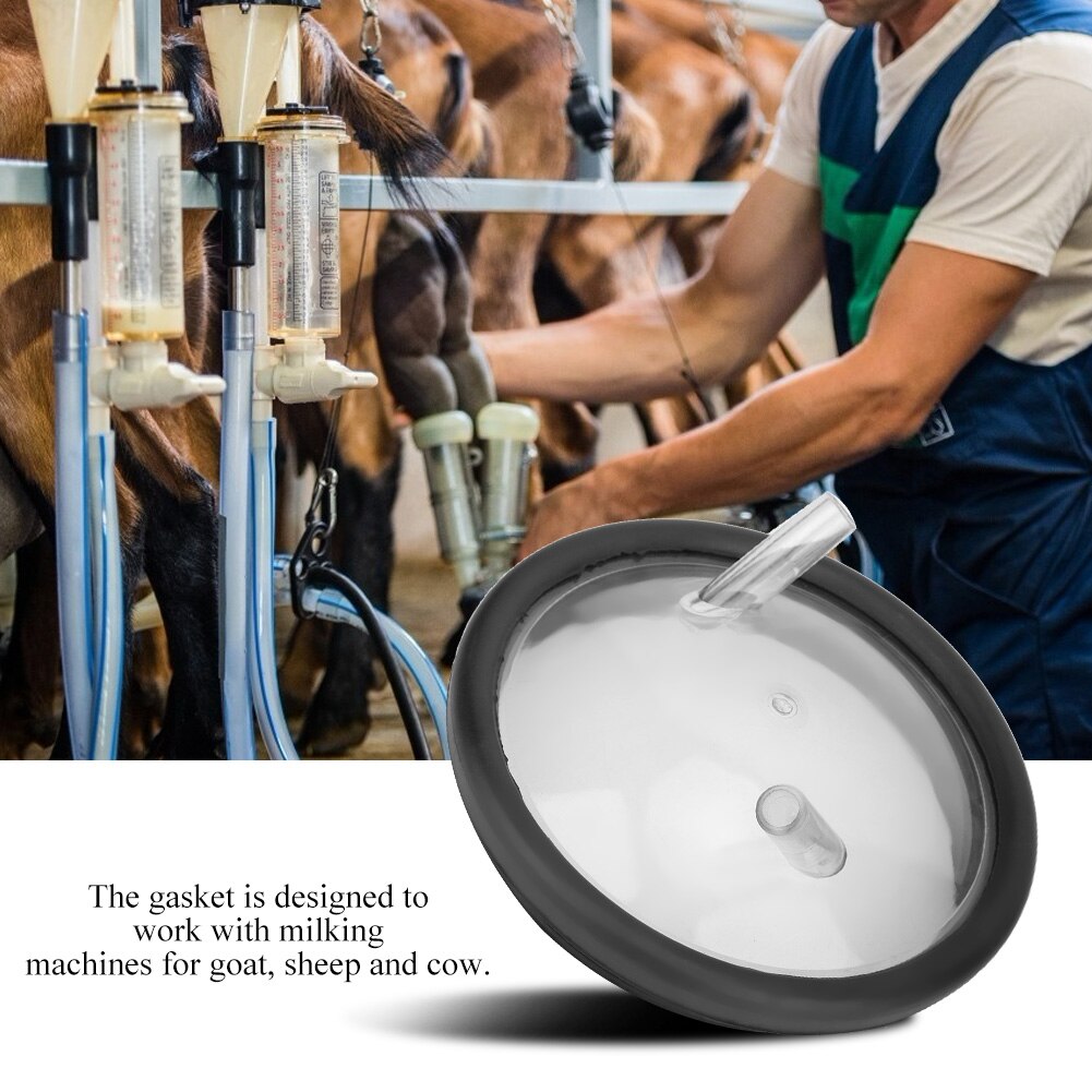 Plastic Transparent Milk Bucket Lid And Gasket For Milking Machine Two Open Lid Buckets with Two exits for Goat Sheep and Cow