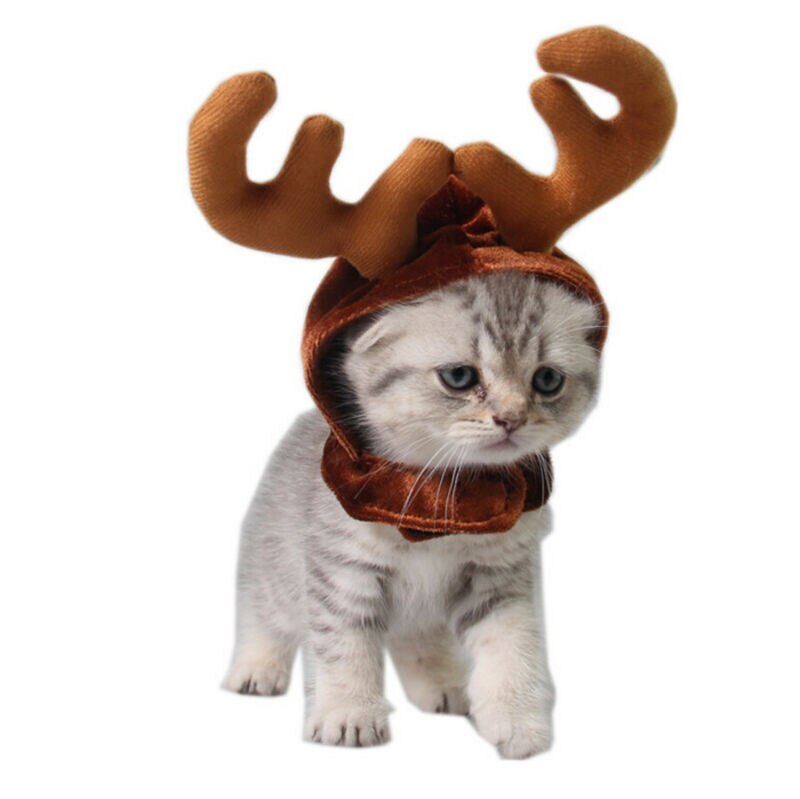 Hunde Katze Rentier Stirnband Deckel Haustier Elch Geweih Nette Hüte Welpen Hirsch Hörner Kappen Kopfschmuck Katze Weihnachten Kostüm Haar Dekor