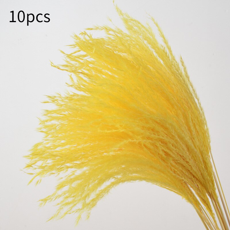 10Pcs Dry Dried Small Pampas Grass Flowers Pantas Artificiales Para Decoracion Real Plants Home Decor Wedding Decoration: small yellow