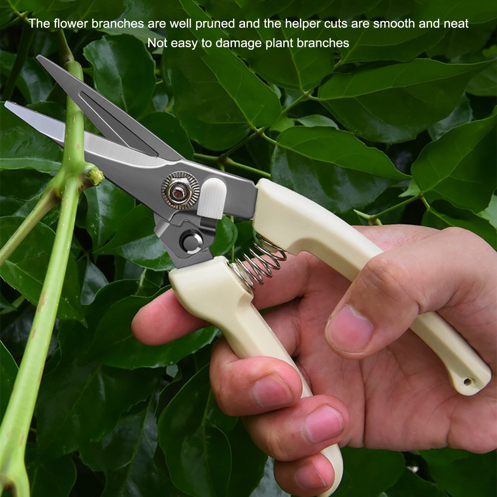 Garden Shears Pruner Secateurs Pruning Scissors Flower Sharp Gardening Hand Florist Bonsai Cutters Mini Small Plant Floral Snips