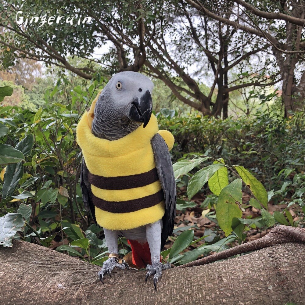 Gingerain Bird clothes Parrot clothes red scarf original hand-made custom bird clothes Hooded Sweater apis florea
