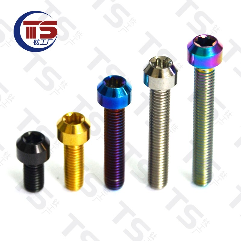 TS Titanium Alloy TORX Head Bolts Screw M5X65mm Allen Key Hex Screw for Bicycle Motorcycle Fastener（1pc）