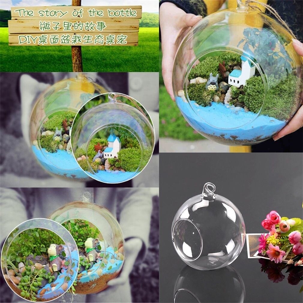 Bola colgante de cristal para decoración del hogar y la Oficina, florero para flores, plantas, terrario, contenedor, tp,