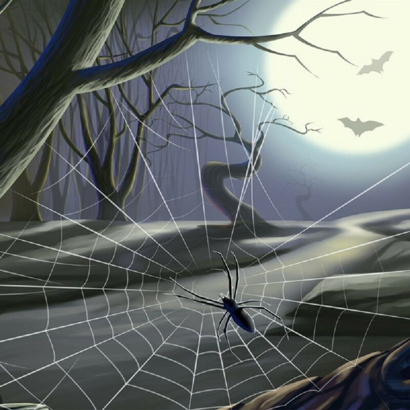 15 stk edderkoppnett halloween dekorasjon nifs hjemme bilvindu vinyl dekal klistremerke: Default Title