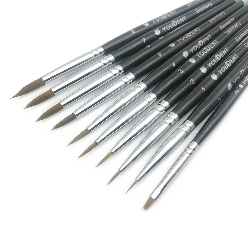 10 Stks/set Dental Porselein Borstel Pen Met Zwarte Tas Tandtechnicus Gereedschap Dental Lab Supplies