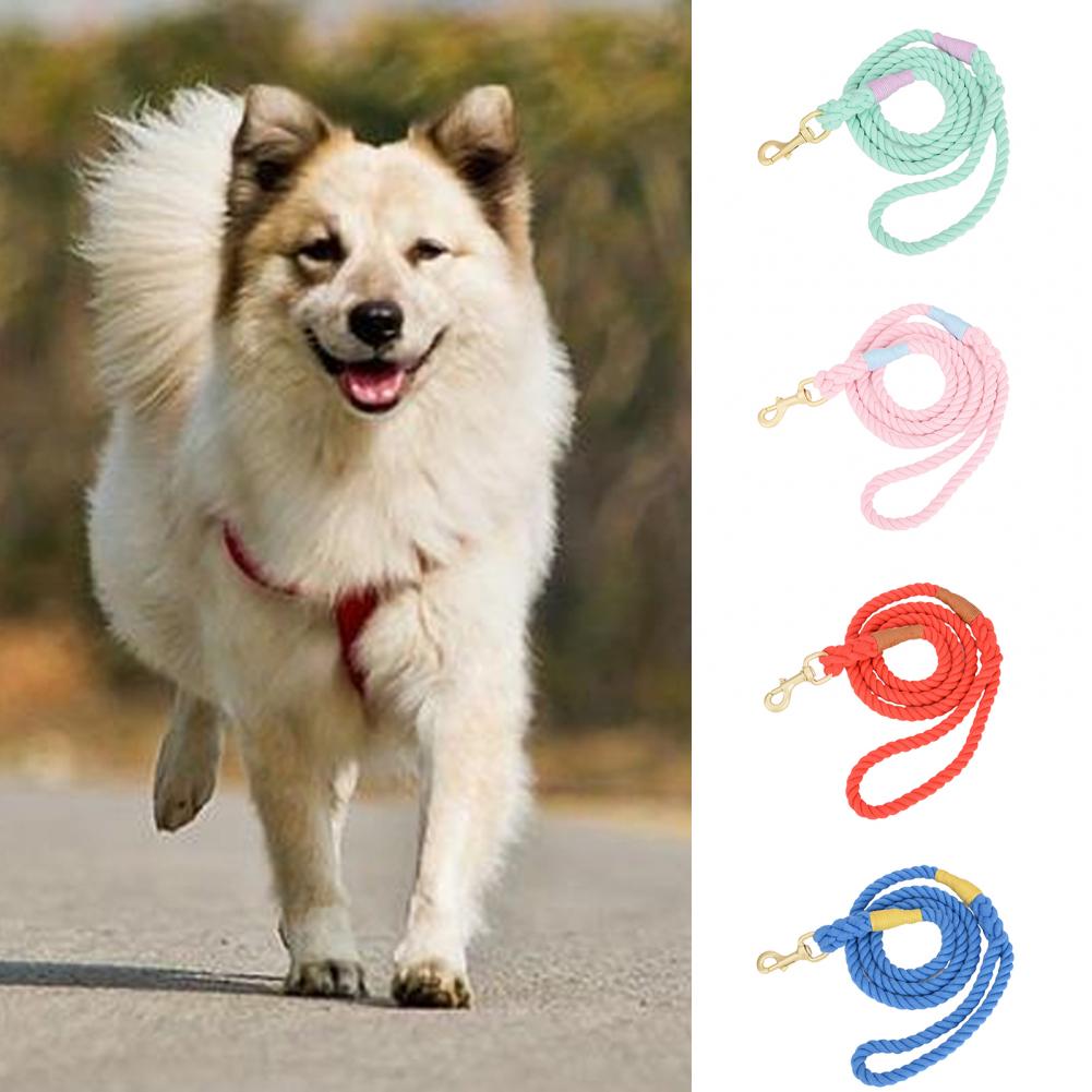 Pet Traction Rope Eco-friendly Dog Strap Woven Anti-scape Long-lasting Walking Dog Leash Rope