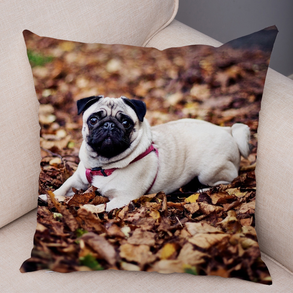 Housse de coussin carlin mignonne, oreiller décoratif imprimé pour animaux de compagnie, pour voiture, canapé, maison, en Polyester
