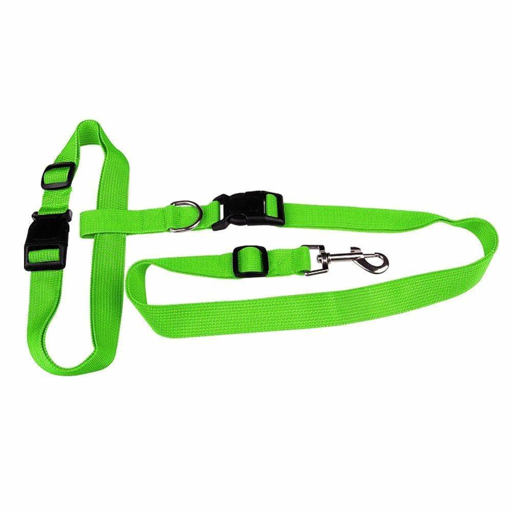 1Pc Verstelbare Nylon Pet Led Halsband Harnas Voor Kleine Accessoires Running Leash Sport Wandelen Jogging Puppy Product Hond i5C9: green