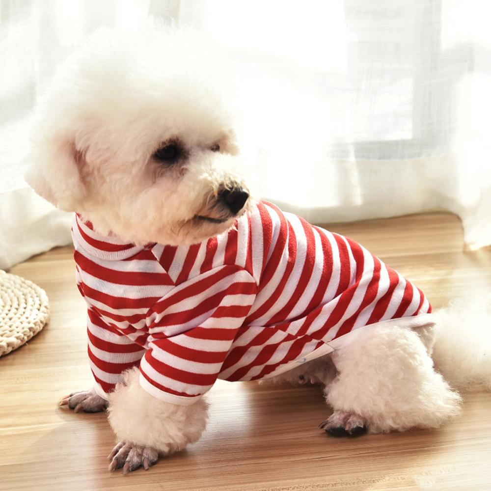 Warm Cat Clothes Autumn Winter Pet Clothing For Small Cats Dogs Cotton Cat Costumes Soft Kitten Kitty Coat Jacket Puppy Outfit