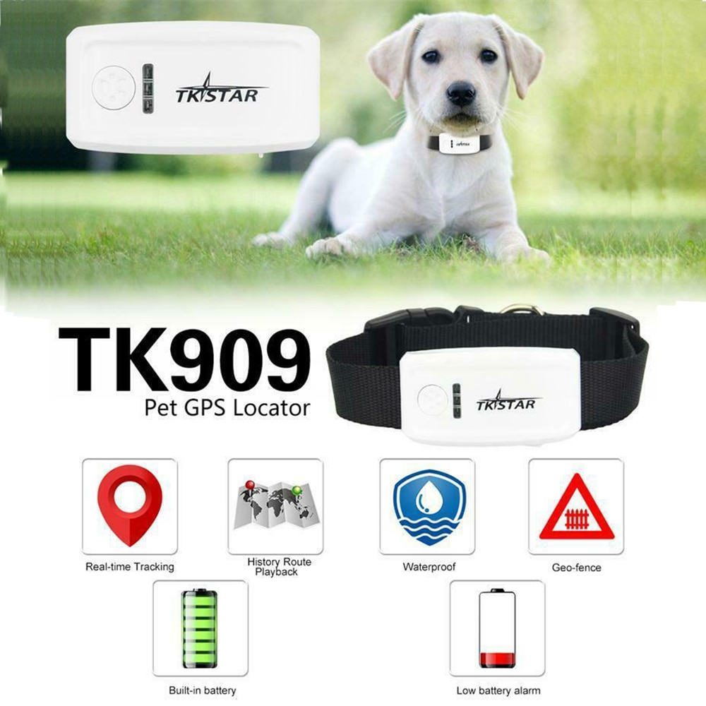 TK-STAR TK909 GPS huisdieren tracker GSM SMS GPRS tracker Gratis App voor TKSTAR, Geen doos 100g2280