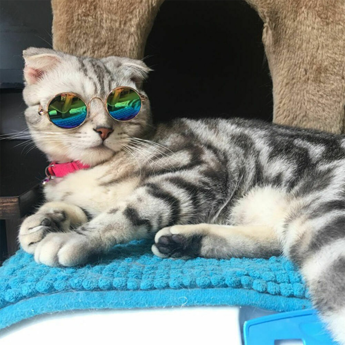 Kæledyrs solbriller refleksion metal fotos rekvisitter tilbehør kattehund forsyninger