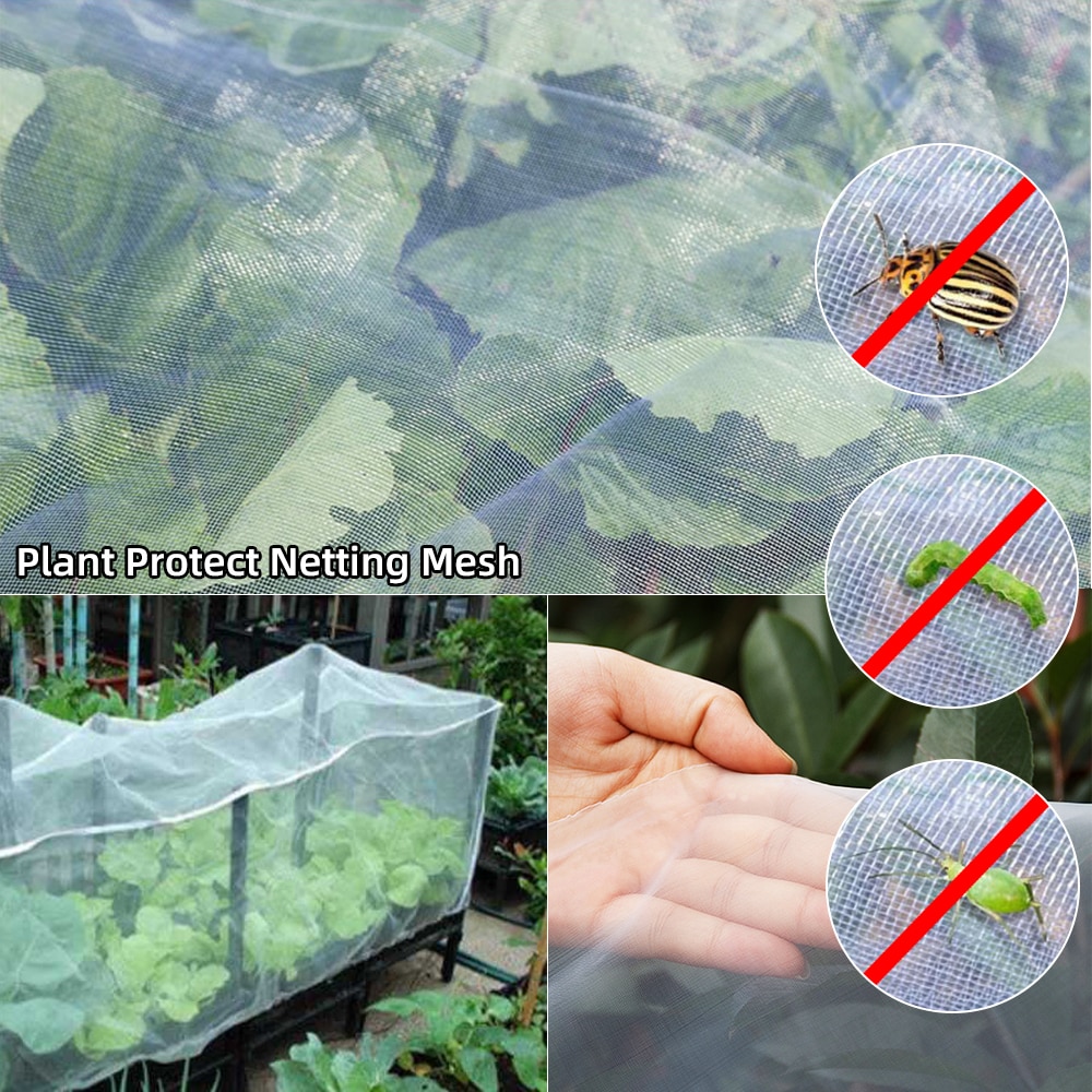Gran red de protección de plantas de cultivo de jardín red para invernadero red para aves plagas de insectos cuidado de animales vegetales grandes redes de malla 2.5x10m