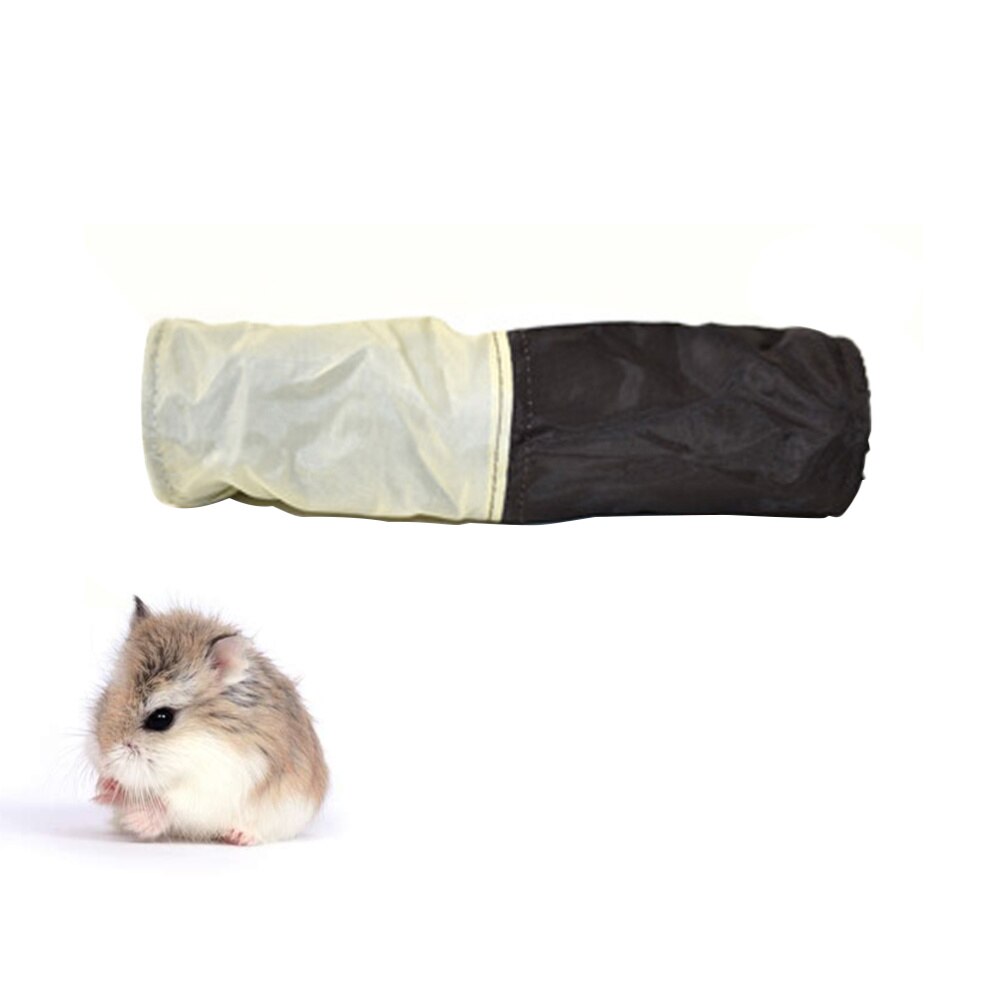 Curated visual reference: Visual Reference: Hamster Tunnel Play Tube Pet Training For Small An