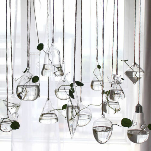Cristal Claro flor planta soporte colgante jarrón terrario con forma de bola contenedor hogar Decoración florero de decoración para casa