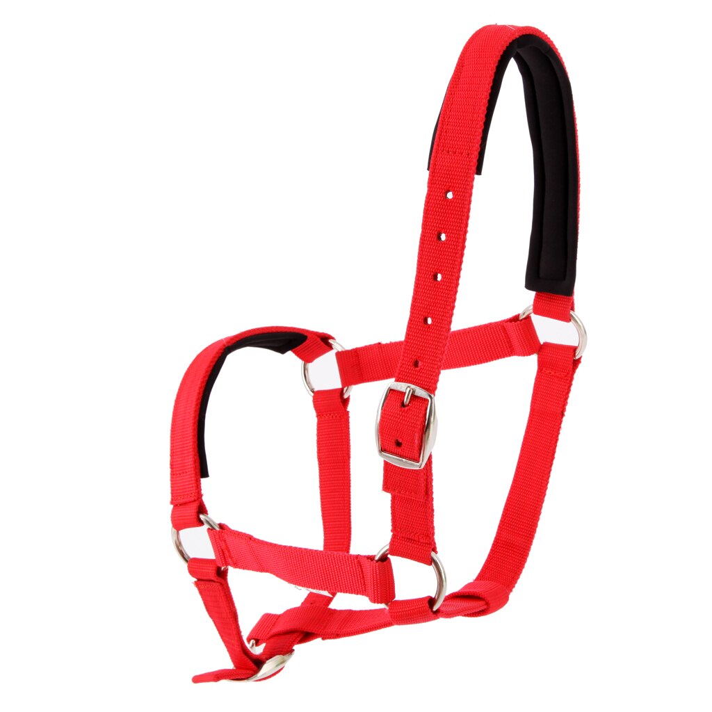 Adjustable Equestrian Western Horse Halter Fits 4.3ft - 5.4ft Horse Black/Blue/Red