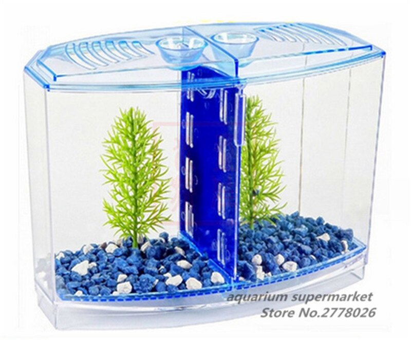 HONGYI-boîte d'élevage Guppy bébé | Poisson, séparation nœud de poisson, Aquarium, petite boîte d'élevage
