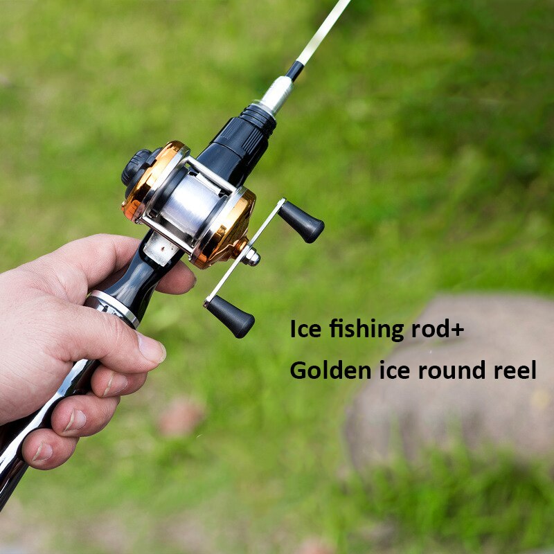 Goture Winter Ijs Hengel 65Cm Baitcasting Hengel Baars Snoek Snoekbaarzen Jigging Rod: rod golden reel