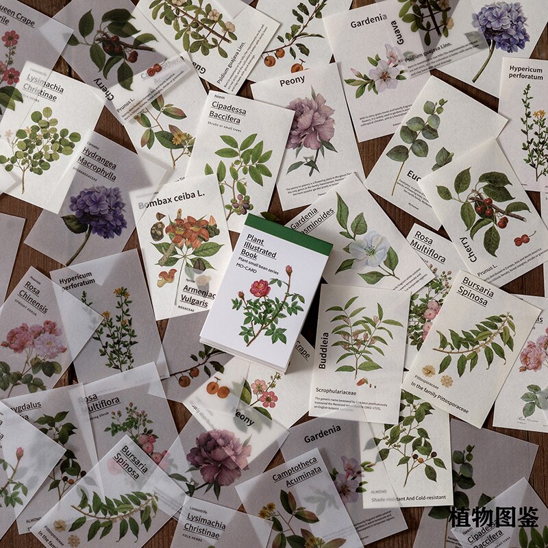 80 stk soppblomstblad mini boksider materiale papir søppel journalplanlegger scrapbooking årgang dekorativt diy håndverk papir: E
