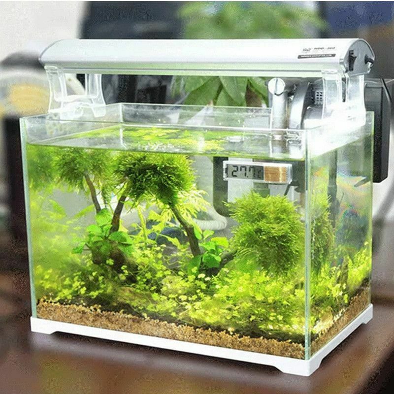 Plast metal 3d digital elektronisk akvarie termometer akvarium temp meter guld sølv