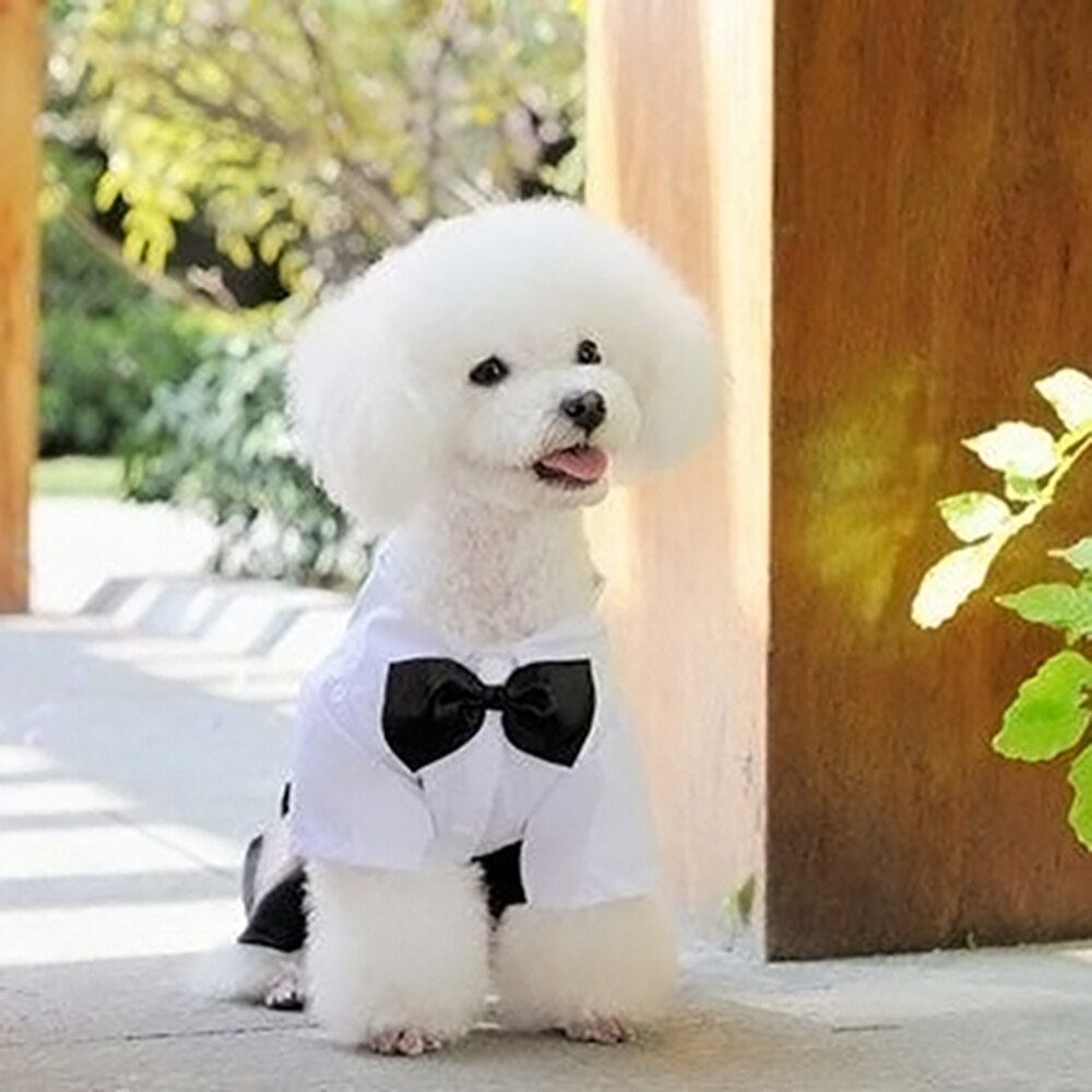 Perro cachorro de peluche caniche Chihuahua abrigo guapo mascotas traje de perro ropa de boda mascota esmoquin del príncipe pajarita Mono para cachorro