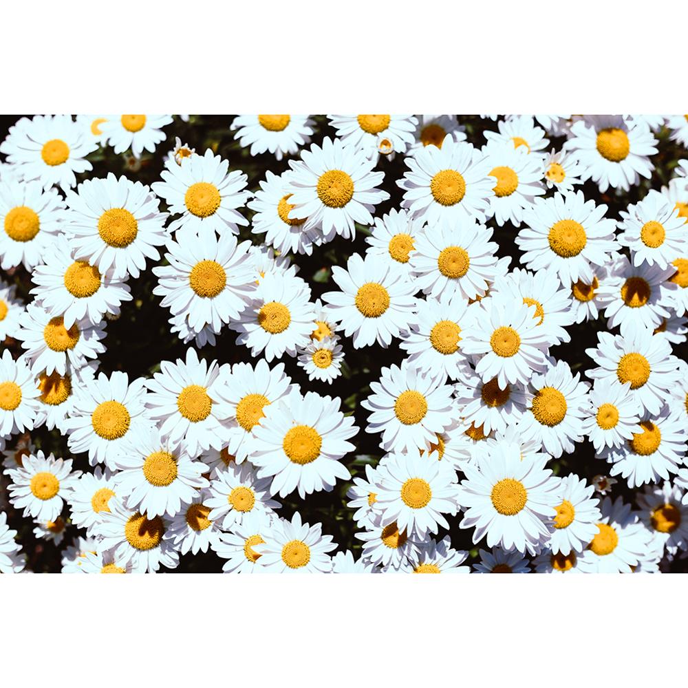 Jigsaw Puzzles 1000 pieces Wine Bottle Cap Assembling picture toys for adults childrens kids games educational Toys: 04