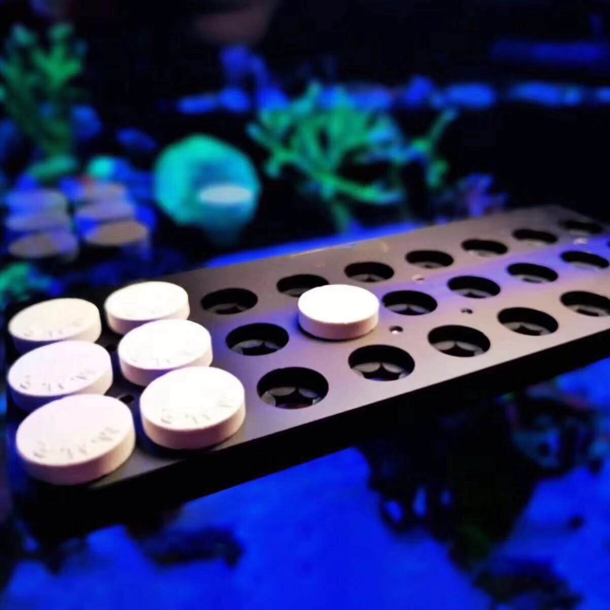 DW Aquarium WWC Style Special Acrylic Magnetic Coral Frag Plugs Rack Holder Fish Tank Collapsible Angle Adjusting Bracket Rack