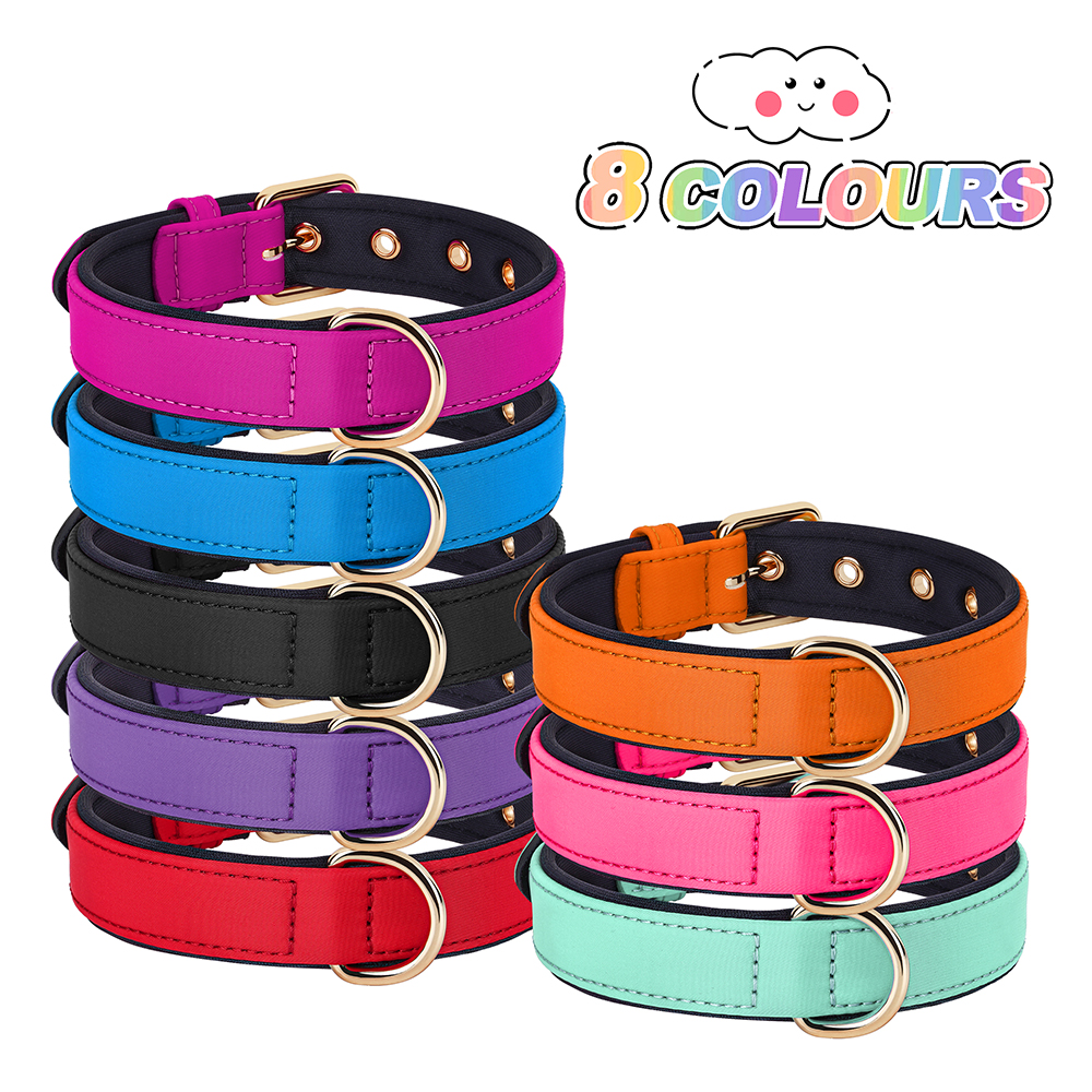 Collier en nylon imperméable pour chien, 8 couleurs, doux, rembourré, respirant, colliers pour animaux de compagnie, petits et moyens chiens, Chihahua, PDPDog, accessoires