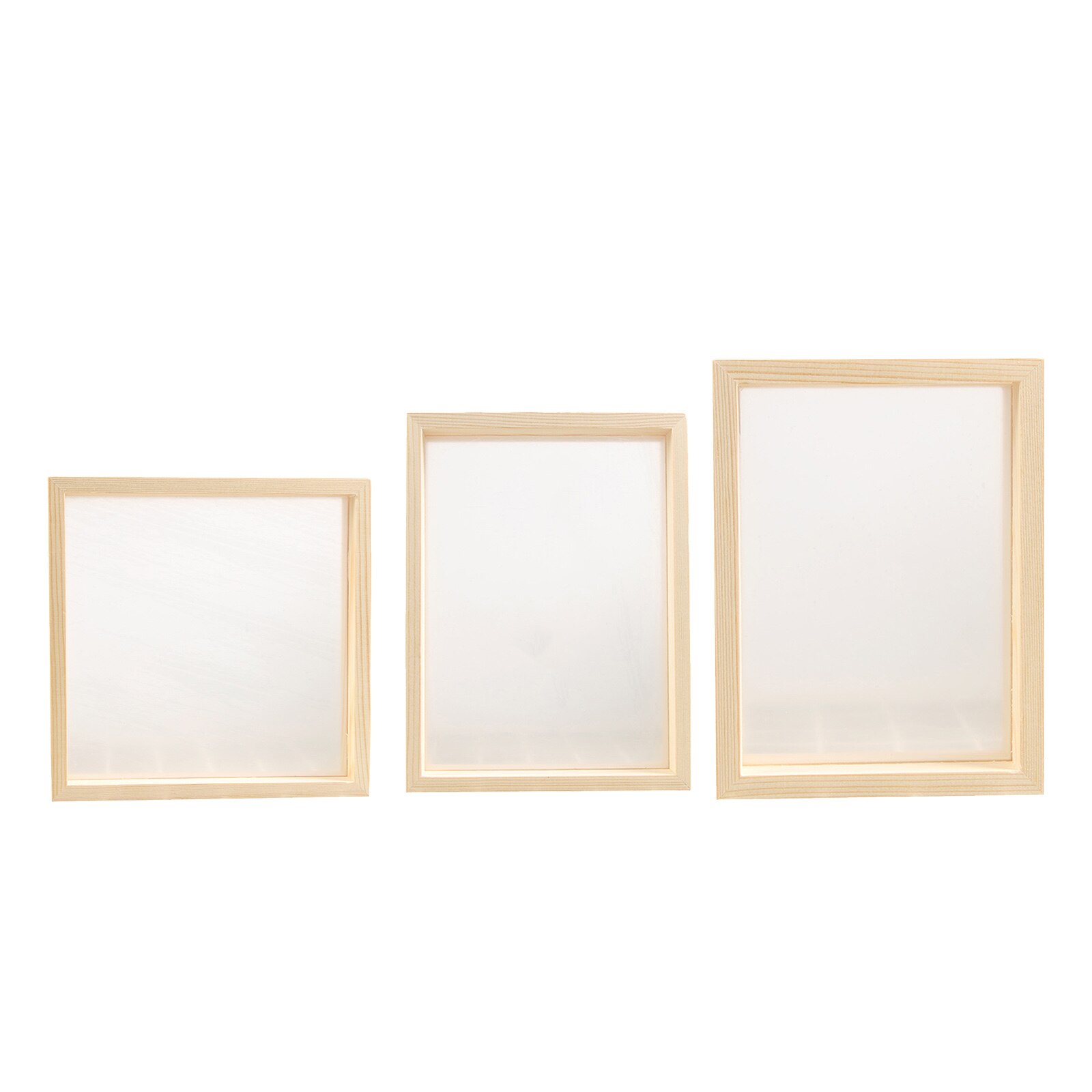 Plant Specimen Photo Frame Support Family Picture Holder Decor Artwork
