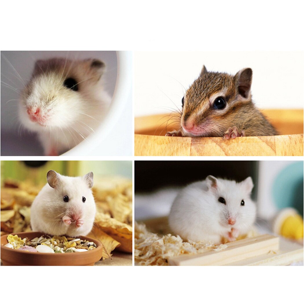 Hamster Cage Breathable Portable Hamster Habitat Pet Cage for Small Animals Hamster Cage Villa Supplies