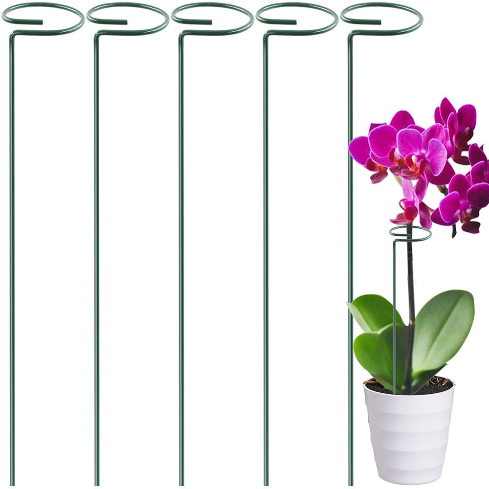Plant Support Stakes, Garden Single Stem Support Stake Plant Cage Support Rings for Amaryllis Tomatoes Orchid Lily Peony