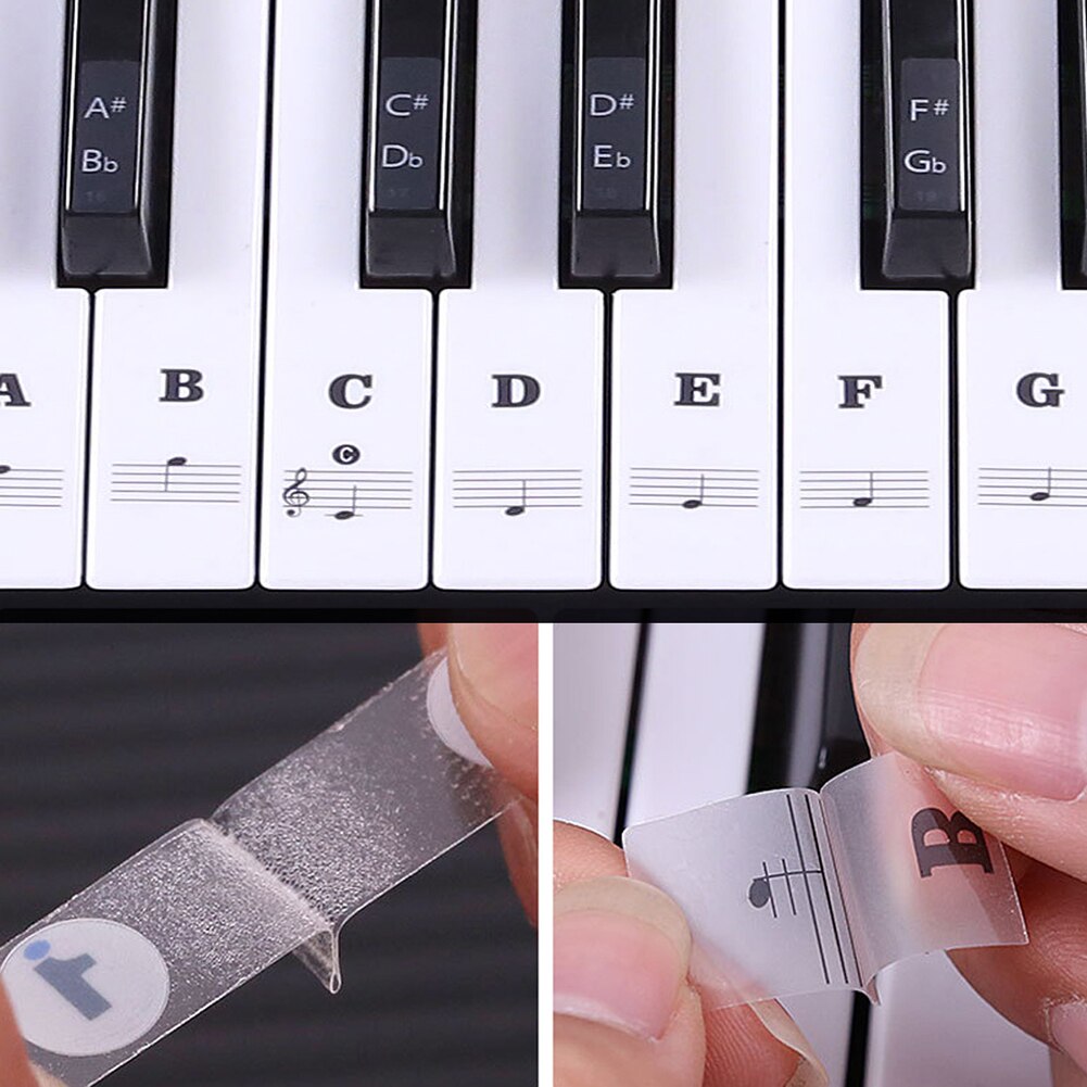 Transparent PVC Piano Keyboard Note Stickers for 37/49/54/61/88 Keys Electronic Keyboard Piano Stave Note Sticker for White Key