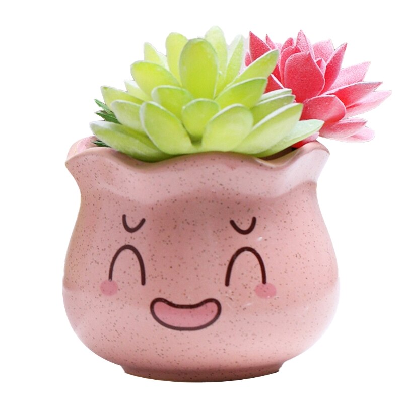 4 Pcs Cute Expression Ceramic Flower Pot Minimalist Succulent Vase for Indoor Plants Water Absorption Flowerpot Plants: PK
