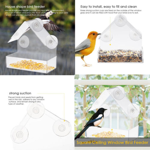 Acrylic Transparent Bird Squirrel Feeder Tray Birdhouse Window Suction Cup Tools