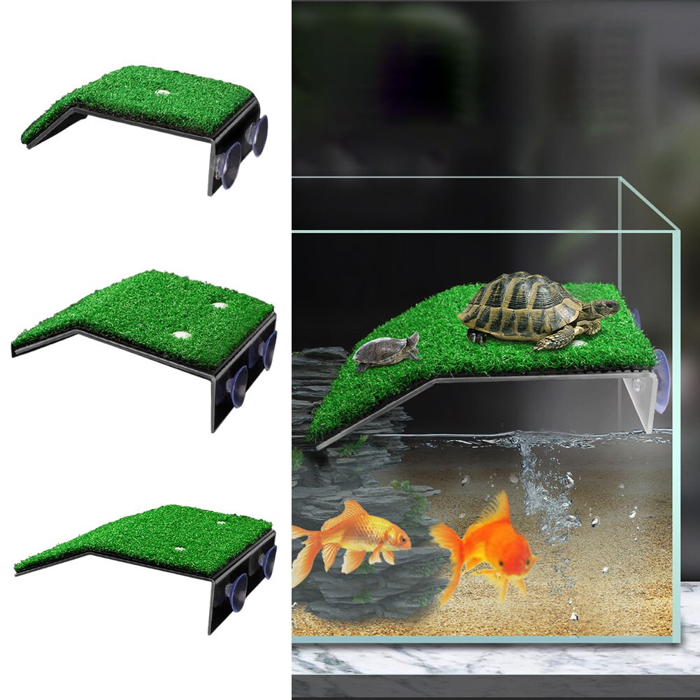 Heavy Duty Rest Turtle Platform Float Decoration A... – Grandado