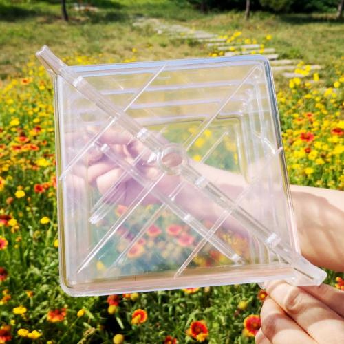 Moule à pastèque carré en plastique en forme de cœur, moule Transparent pour fruits: Square