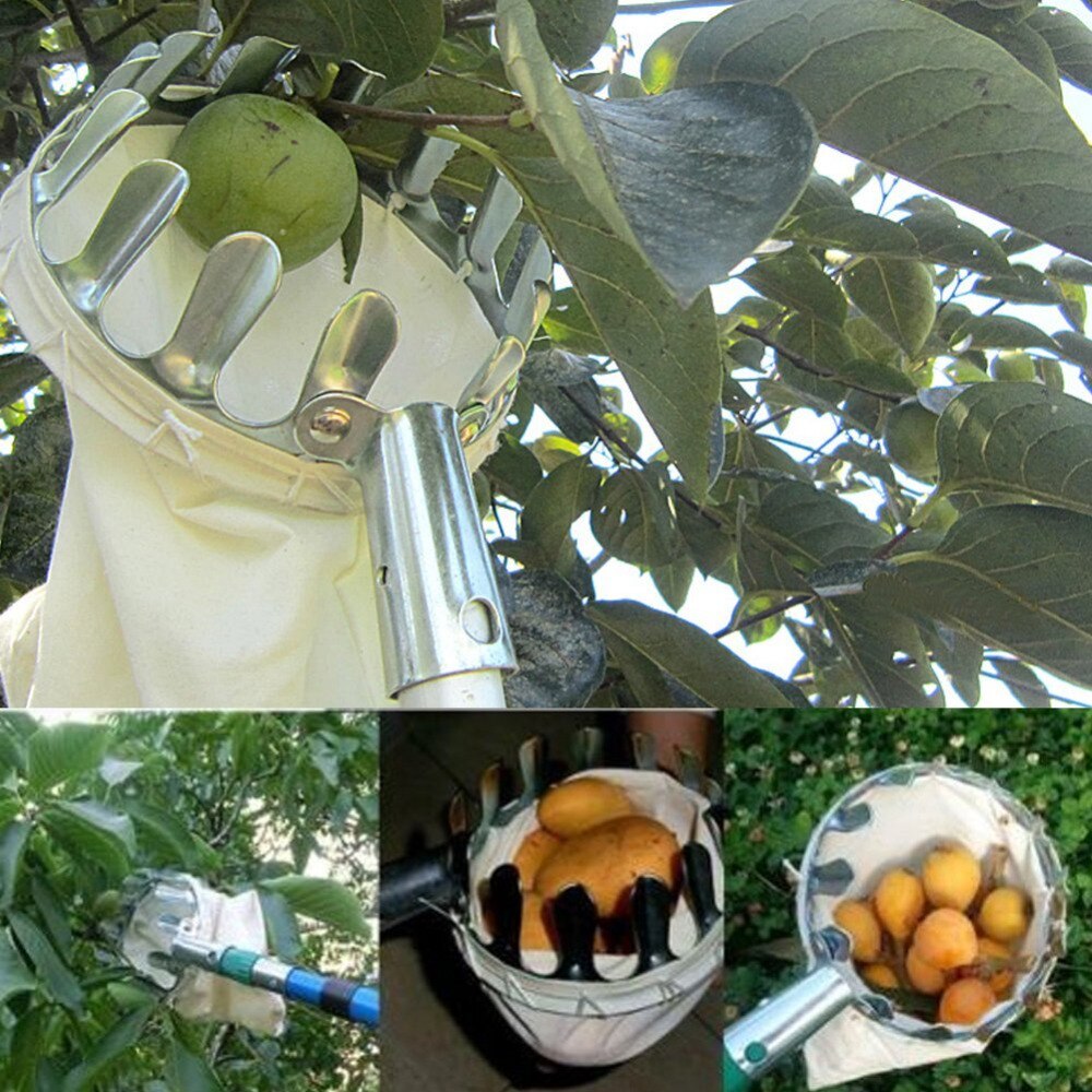 Convenient Fruit Picker Garden Horticultural Pick Apple Pear Peach Tools Picking Fruit Labor Saving Practical Tool