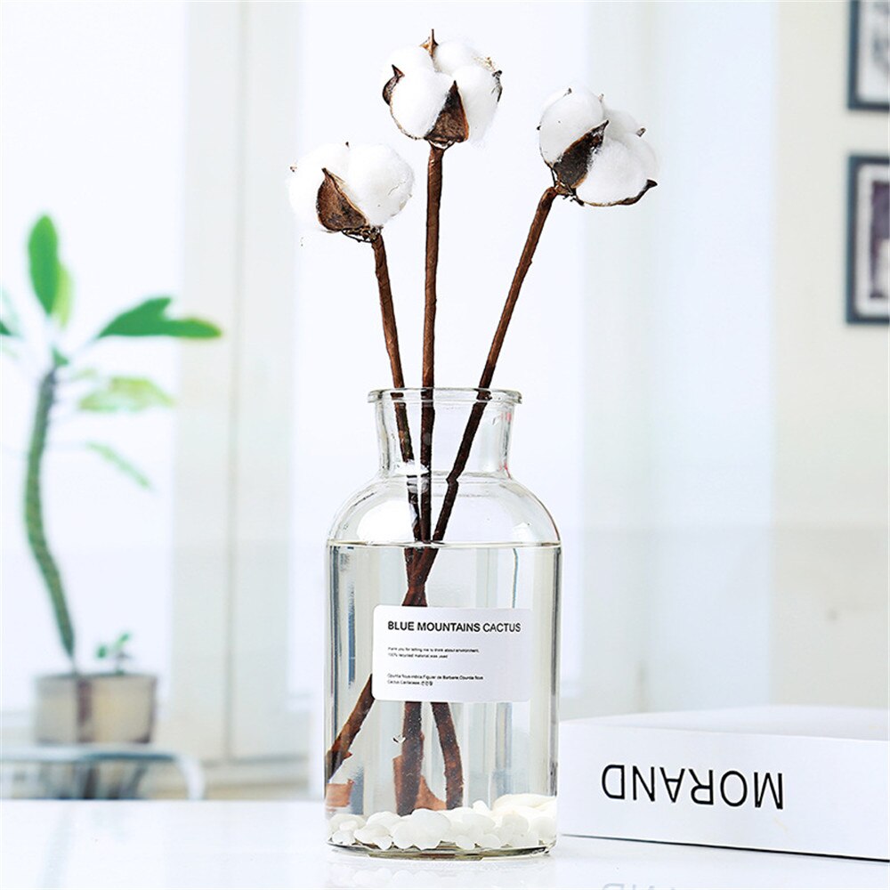 Transparent Glass Storage Jars Chic Dry Flower Vase Scandinavian Fresh Floral Container Desktop Decor Organizer Jar