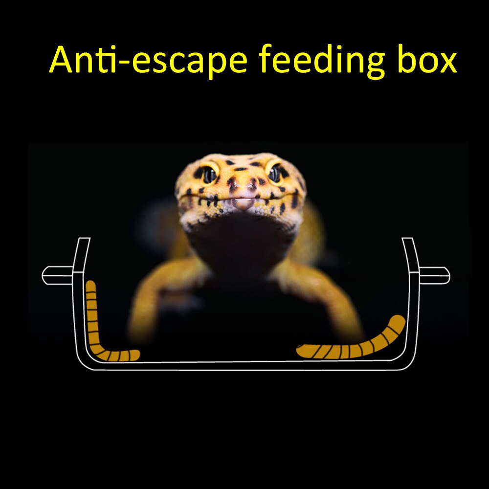 Terrarium For Reptiles Transparent Plastic Box Insect Reptile Transport Breeding Live Food Feeding Box Insects Observation Box