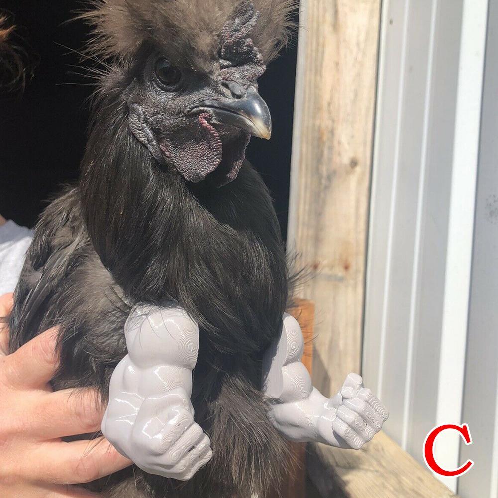 Bras de poulet solides pour le poulet, pour porter des costumes, jouets de décoration, produits amusants pour animaux de compagnie