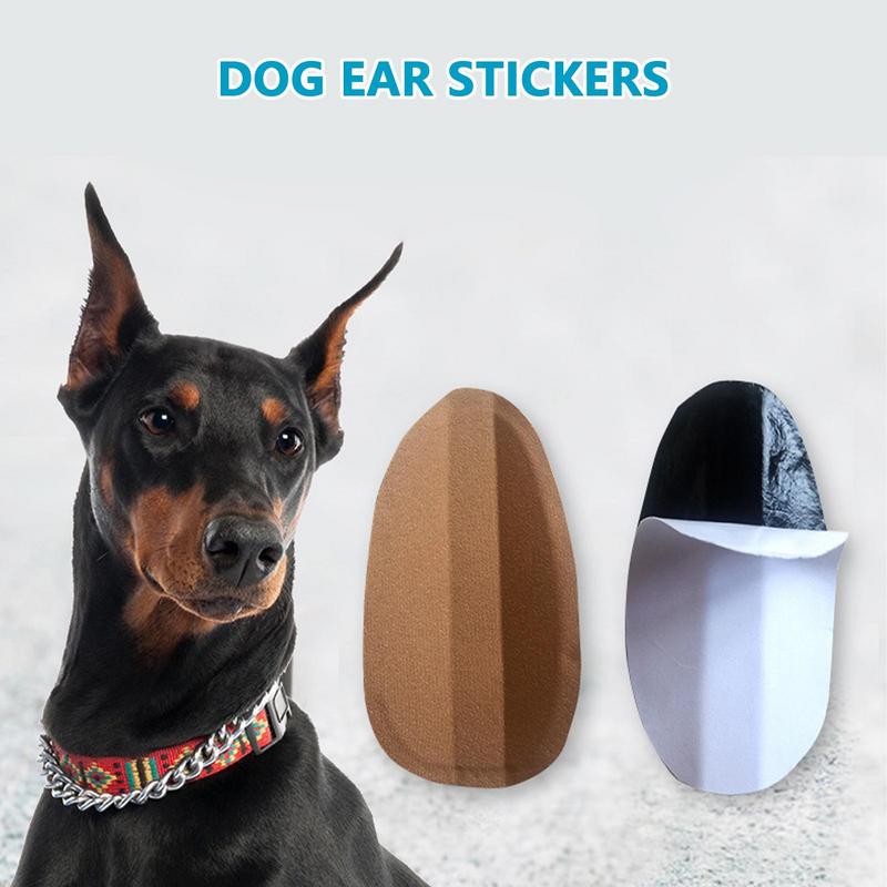 Hond oor postkit Vaste hond oor Stand Up Tool Ondersteuning Vaste Doberman hond oor postkit voor Doberman hond vanaf 2 maanden