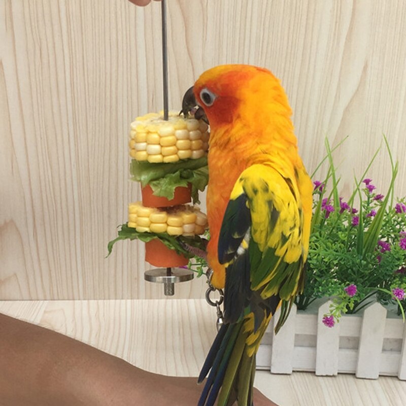 Support de nourriture pour perroquets oiseaux, brochette à viande en acier inoxydable
