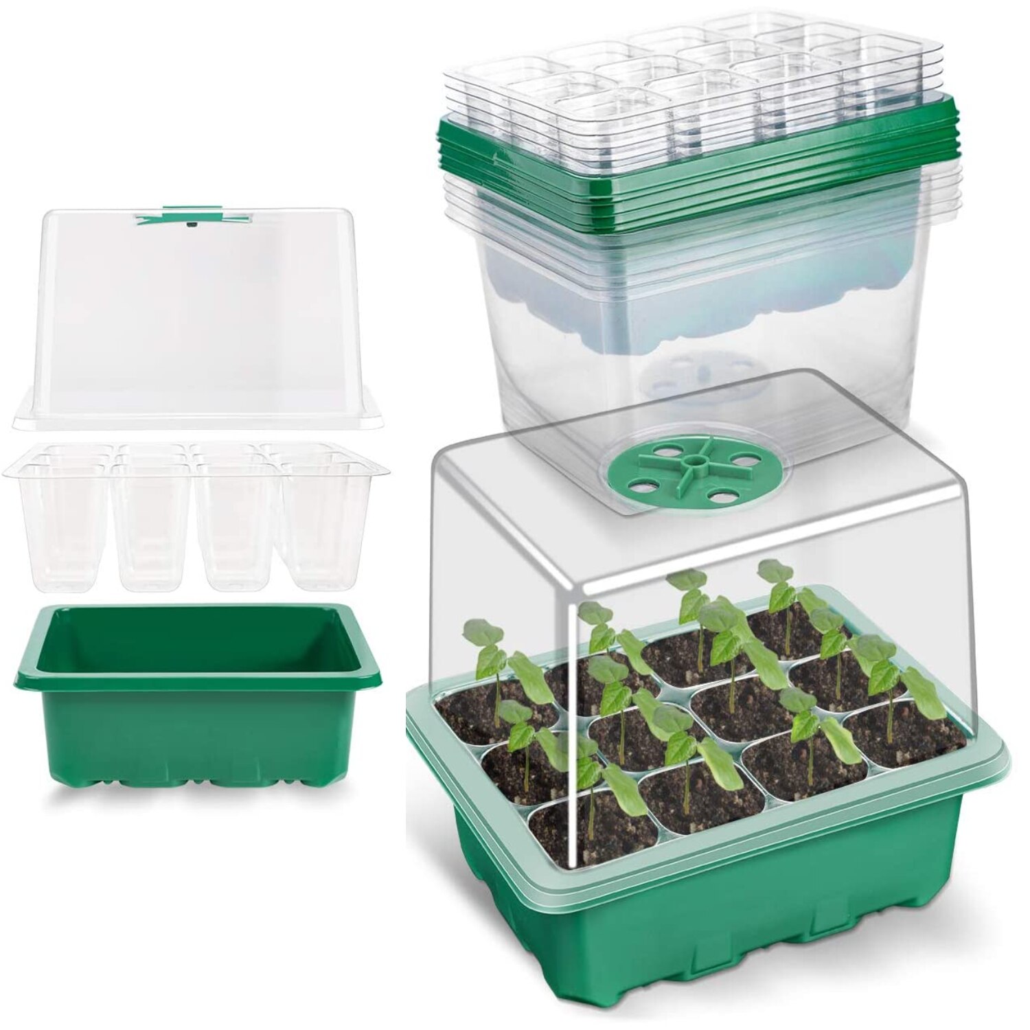 12 Cells Seed Starter Kit Plant Seeds Grow Box cSeedling Trays Germination Box with Humidity Dome and Base for Greenhouse