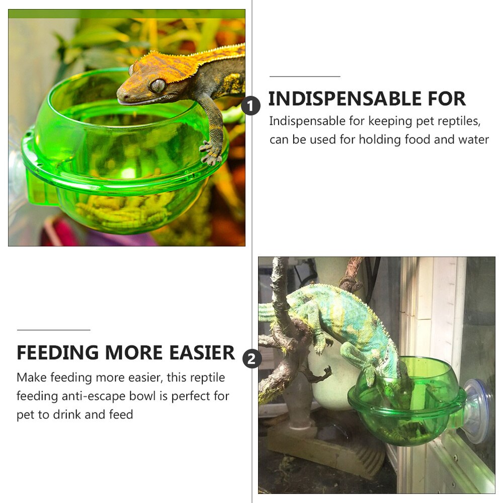 4Pcs Reptile Feeder with Suction Cup Lizard Wall Hanging Feeder Anti-Escape Bowl